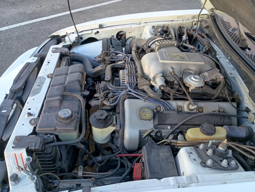 1997 Ford Mustang Cobra SCCA Certified